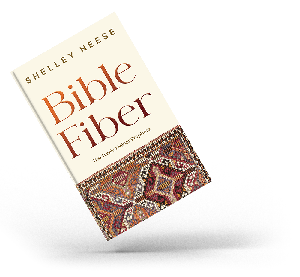 Bible Fiber Book Cover Graphic