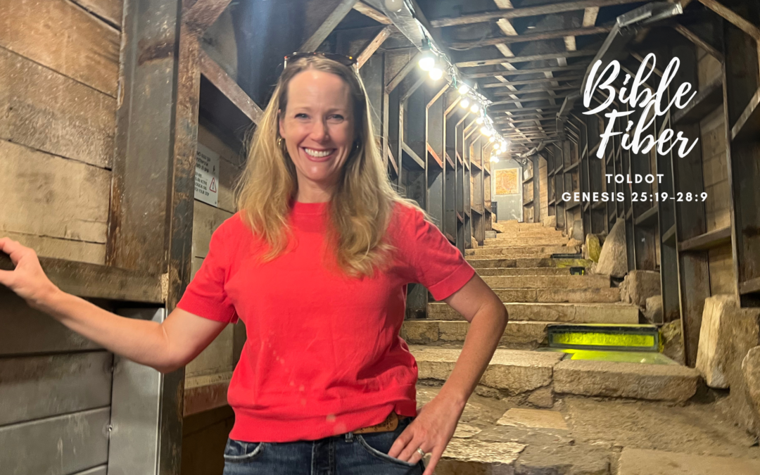 Toldot (Genesis 25:19–28:9)