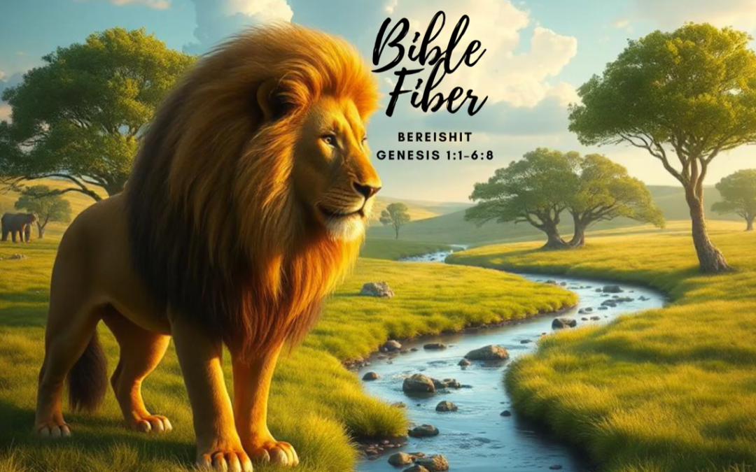 Bereishit (Genesis 1:1–6:8)