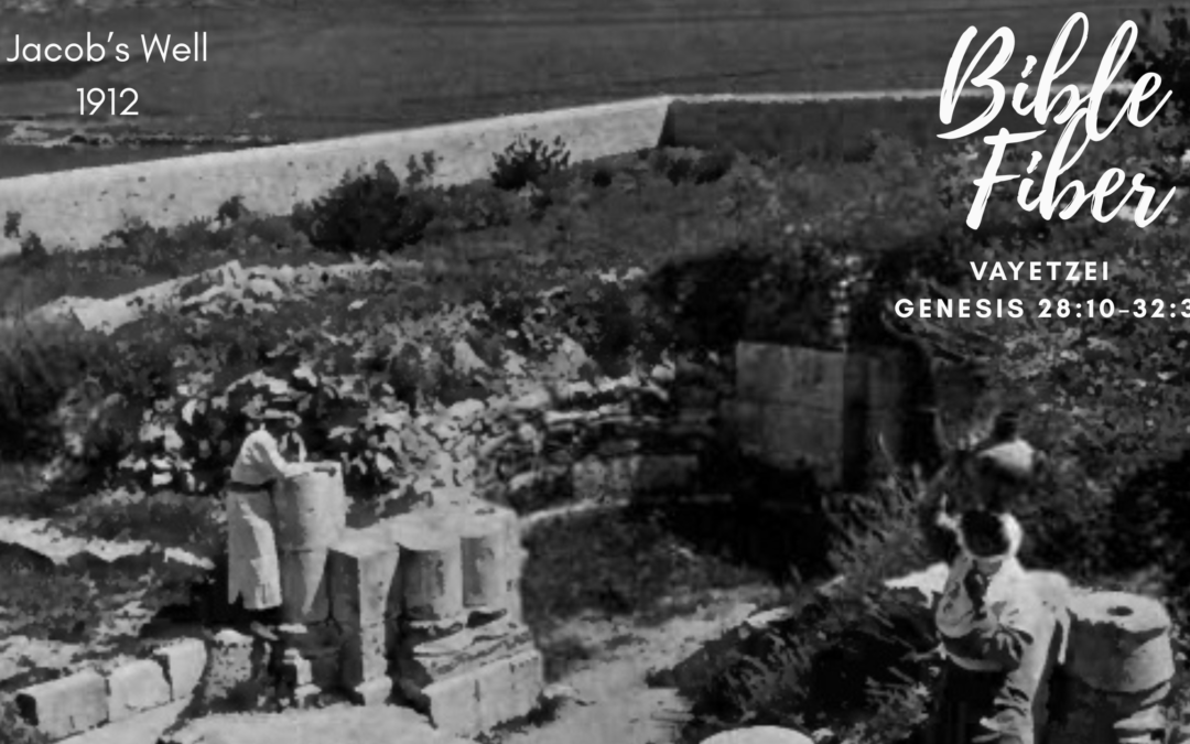 Vayetzei (Genesis 28:10–32:3)