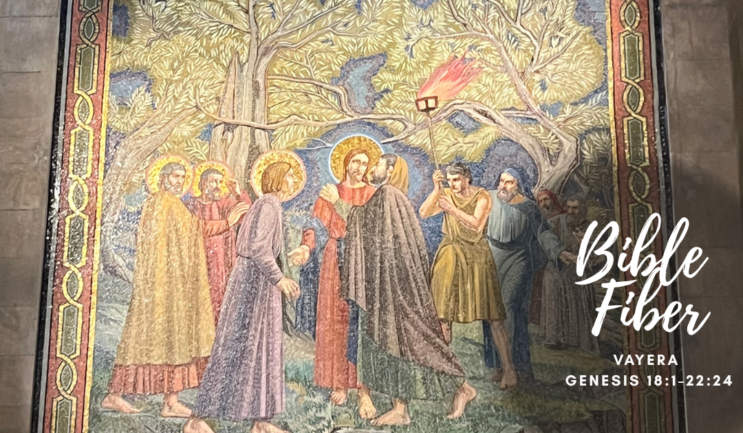 Vayera (Genesis 18:1–22:24)